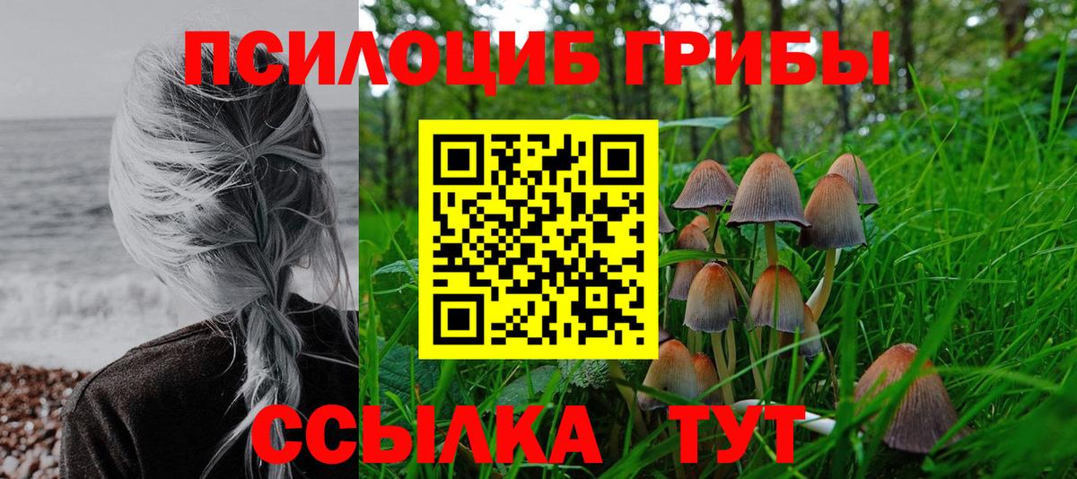 Муравленко  Псилоцибиновые грибы прущие грибы  Вход с VPN 